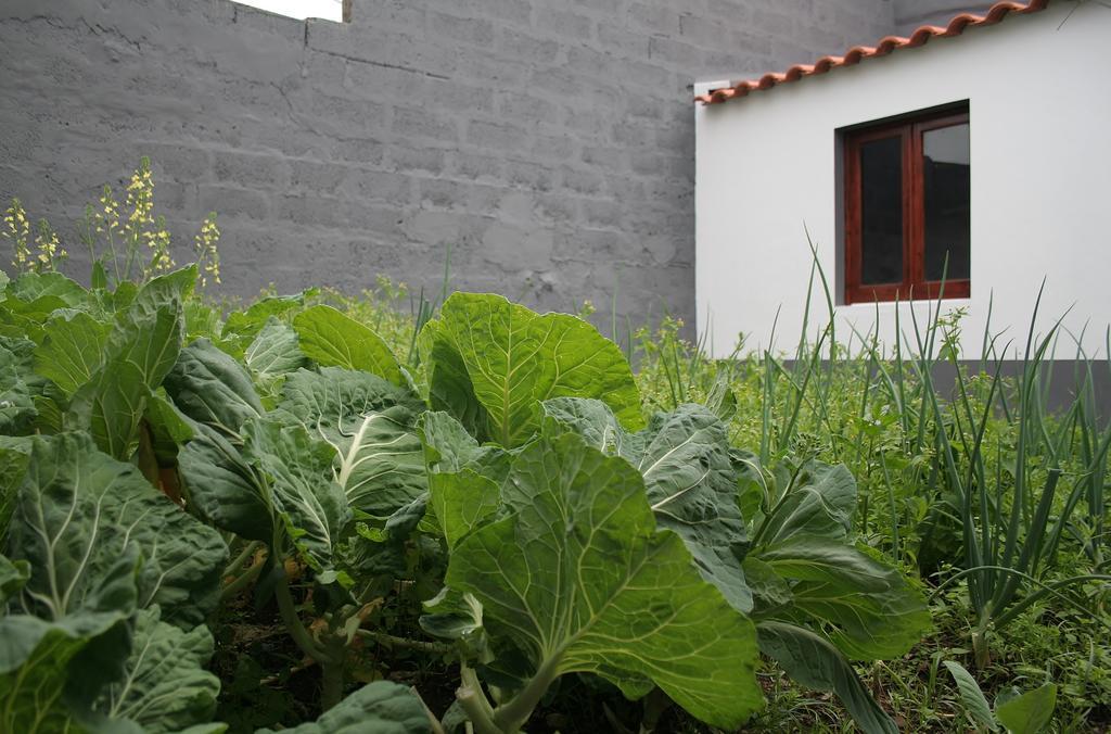 Casa Azul Natura Ponta Delgada  Exterior photo